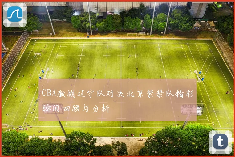 CBA激战辽宁队对决北京紫禁队精彩瞬间回顾与分析