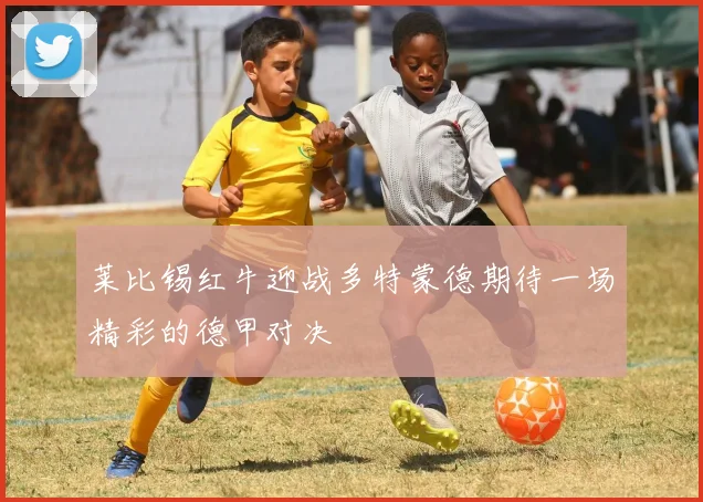 莱比锡红牛迎战多特蒙德期待一场精彩的德甲对决