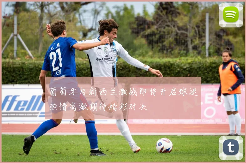 葡萄牙与新西兰激战即将开启球迷热情高涨期待精彩对决