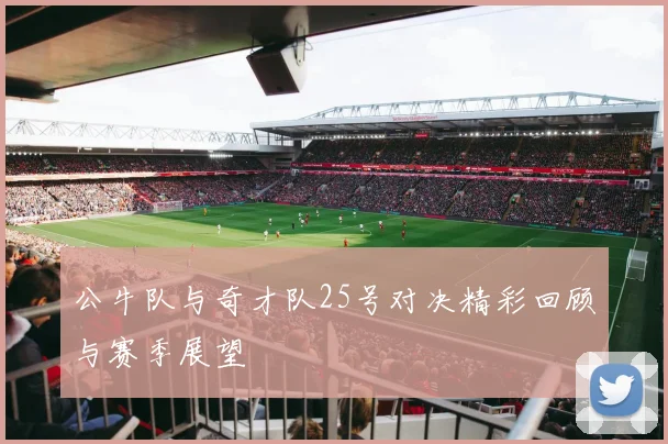 公牛队与奇才队25号对决精彩回顾与赛季展望