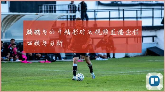 鹈鹕与公牛精彩对决视频直播全程回顾与分析