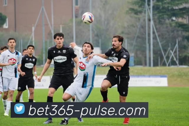 bet365体育全站App